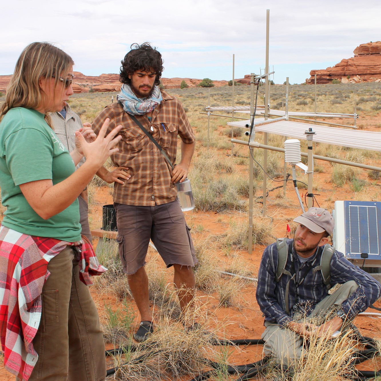 Fire Ecology Test